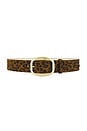 view 1 of 3 Dara Belt in Leopard
