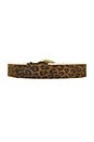 view 2 of 3 Dara Belt in Leopard