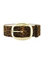 view 3 of 3 Dara Belt in Leopard