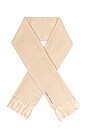 view 5 of 5 ÉCHARPE FIRNA in Beige