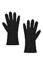 view 2 of 2 Uriah Gloves in Black