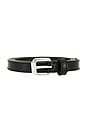 view 3 of 3 Chelsea Belt in Black & Silver
