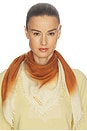 view 1 of 3 Alecia Scarf in Caramel