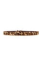view 2 of 3 Depson Belt in Leopard & Palladium
