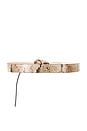 view 2 of 3 Lassio Belt in Sahara
