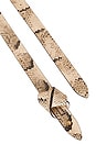 view 4 of 3 Lassio Belt in Sahara