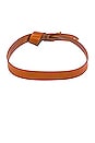 view 2 of 2 Lecce Belt in Natural