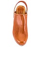 view 4 of 5 SABOT TAIYA in Natural