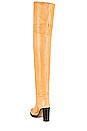 view 3 of 5 Lurna Boot in Natural