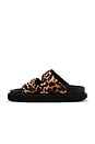 view 5 of 5 SANDALIAS LENNY in Leopard