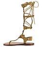 view 5 of 5 Nensi Sandal in Taupe
