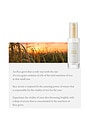 view 4 of 6 Rice Serum in 