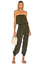 view 1 of 3 Seychelle Solid Strapless Pleated Jumpsuit in Cactus