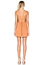 view 3 of 3 Harlem Layered Mini Dress in Clay