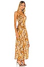 view 2 of 3 Danielle Maxi Dress in Ibex