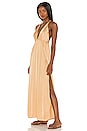view 2 of 4 River Maxi Dress in Champagne
