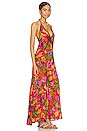 view 2 of 3 Rhea Maxi Dress in Spring Fling