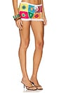 view 2 of 6 Blossom Hot Short in Hippy