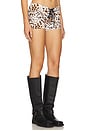 view 2 of 6 Ivan Printed Lace Up Booty Short in Cowgirl