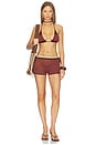 view 5 of 6 Tyla Hot Pant in Sienna
