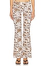 view 1 of 6 Elidy Printed Low Rise Big Band Long Pant in Cowgirl