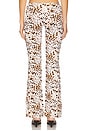view 4 of 6 Elidy Printed Low Rise Big Band Long Pant in Cowgirl
