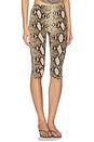 view 2 of 6 Printed High Waisted Capri Pant in Python