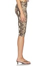 view 3 of 6 Printed High Waisted Capri Pant in Python