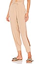 view 1 of 4 PANTALON ALLIGATOR in Nude