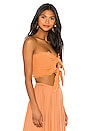 view 2 of 4 Lipa Double Knot Top in Salmon