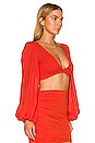 view 2 of 4 Biru Crop Top in Caliente