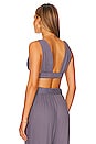 view 3 of 4 Raina Bralette Top in Intuition