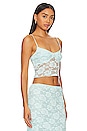 view 2 of 4 Palmer Lace Camisole in Milu