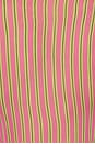 view 6 of 6 CAMISA AJUSTADA RHODE in Watermelon