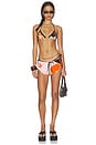 view 4 of 4 Erin Triangle Bikini Top in Picasso
