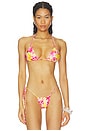 view 1 of 4 Bongo Tiny Triangle Halter Bikini Top in Romance