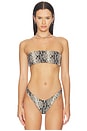view 1 of 5 Hall Printed Bandeau Bikini Top in Python