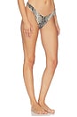 view 2 of 5 Oates Printed Skimpy Bikini Bottom in Python