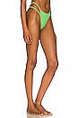view 2 of 4 Tiara Double String Bikini Bottom in Tonic