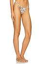 view 2 of 5 Magnolia Skimpy Printed Fixed Bikini Bottom in Cowgirl