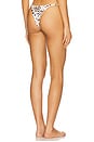 view 3 of 5 Magnolia Skimpy Printed Fixed Bikini Bottom in Cowgirl