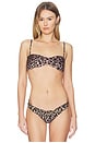 view 1 of 4 TOP BIKINI MISHA in Leopard