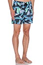 view 2 of 3 Jaws Beach Short in Jaws Black