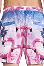 view 5 of 5 Flamingo in Love Short in Multi