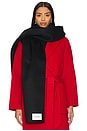 view 1 of 4 Amy Double Face Scarf in Black