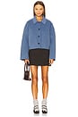view 4 of 4 Jaia Single Breasted Jacket in Summer Blue