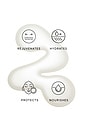 view 5 of 6 Pistachio Body Oil with Phytomelatonin NPD in 