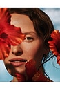 view 6 of 8 Hibiscus Serum With Myoxinol in 