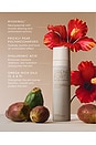 view 3 of 8 Prickly Pear Face Cream With Myoxinol in 