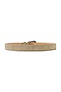 view 2 of 3 Dorsy Belt in Beige